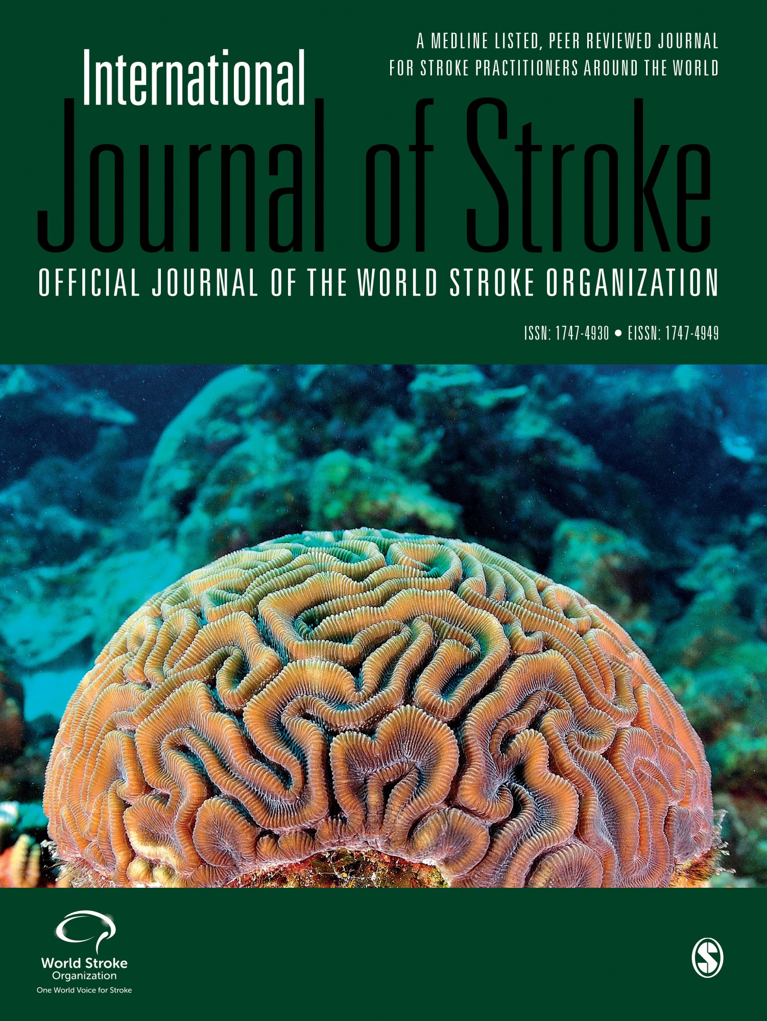 WSO World Stroke Organization
