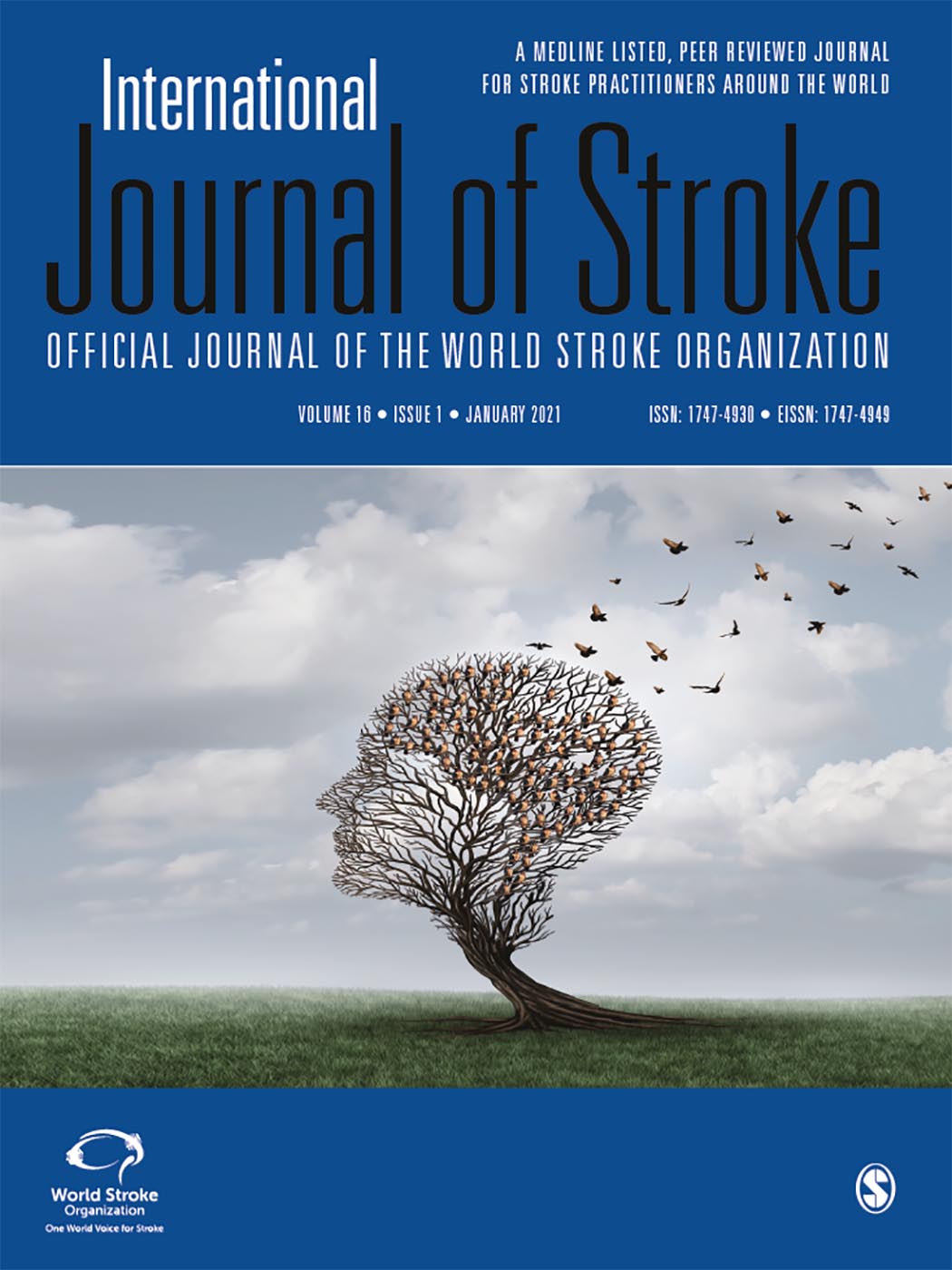 WSO World Stroke Organization