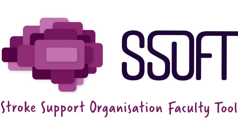 Stroke Support Organisation Faculty Tool 