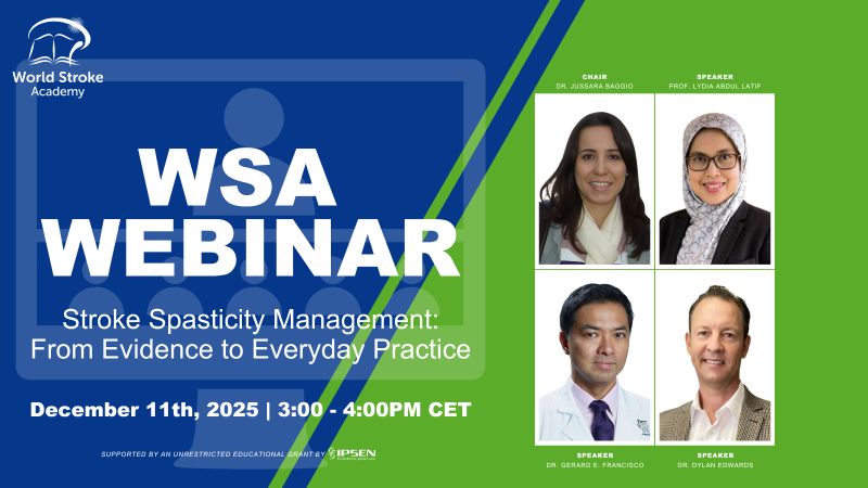 Stroke Spasticity Management: From Evidence to Everyday Practice