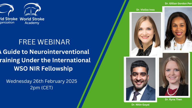 A Guide to Neurointerventional Training Under the International WSO NIR Fellowship