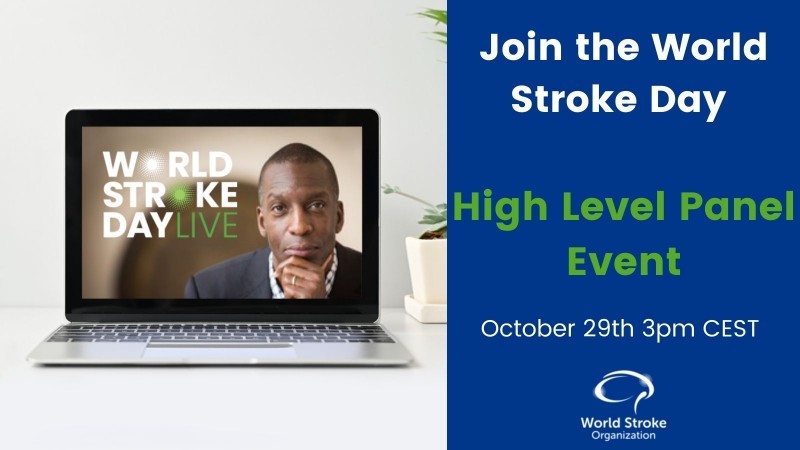 World Stroke Day - High Level Panel Event