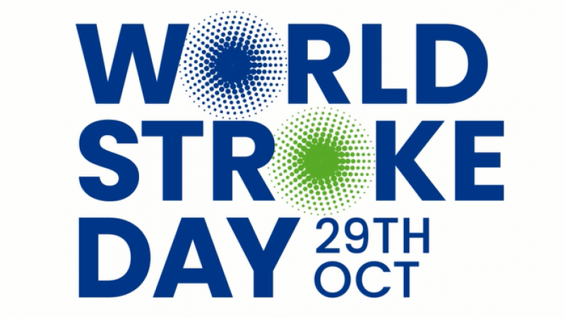 World Stroke Day Campaign Launch Webinar