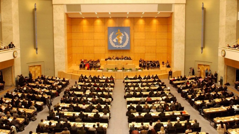 73rd World Health Assembly - GCCH NCD Statement