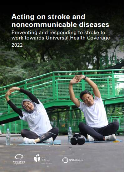 Acting on Stroke and NCDs – Policy Brief