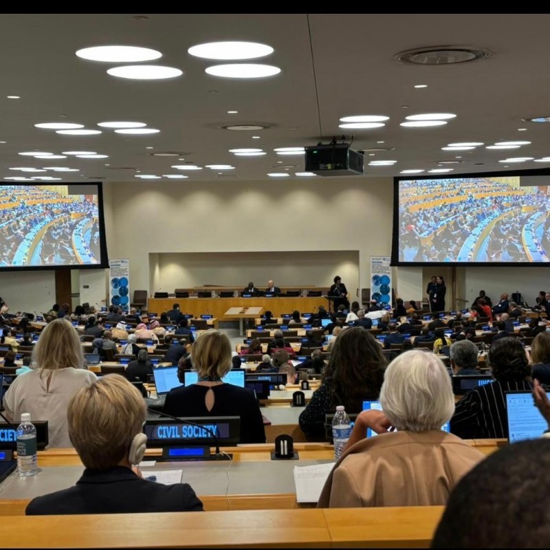 WSO Statement to 4th UN High Level Meeting on the Prevention and Control of NCDs and Mental Health