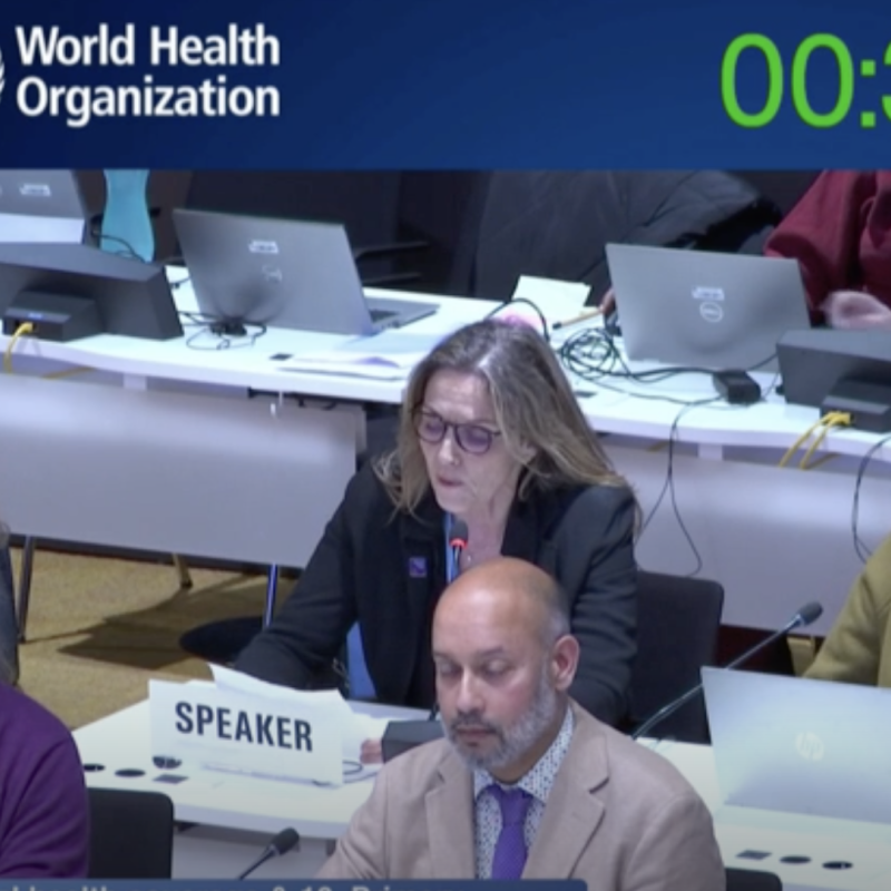 WHO Executive Board 158th Session - WSO Statement on Reducing the Burden of Stroke: Strengthening Prevention, Acute Care, Rehabilitation and Health-System Readiness