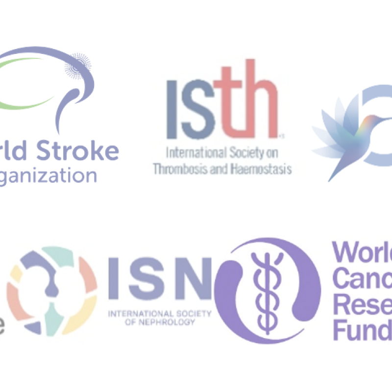 WHO Executive Board 158th Session - Well Being and Health Promotion