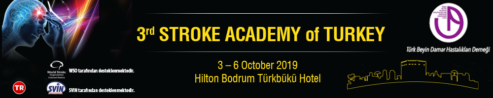 3rd Turkish Stroke Academy 